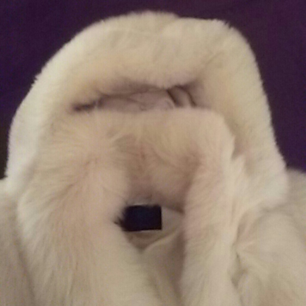 💕HOST PICK💕dreamy fur/hood - Picture 4 of 9